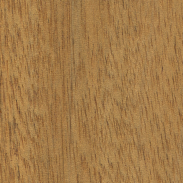 mahogany_wood_rays_ripple_marks