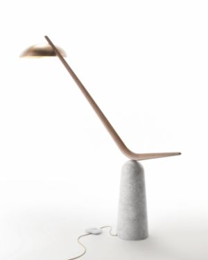 Flying Brancusi
