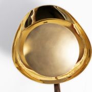 Flying Brancusi