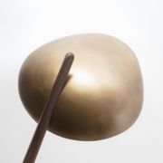 Flying Brancusi